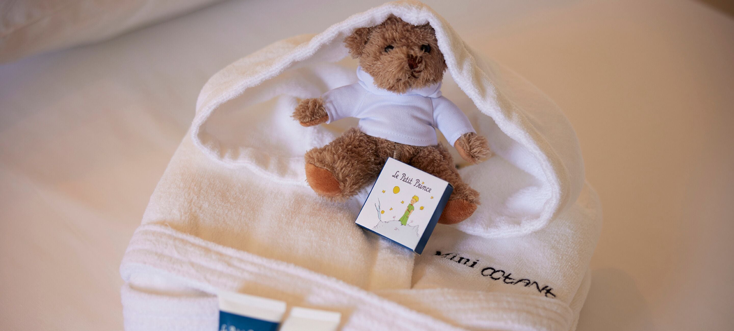 family room, terrace (bunkbed terrace room) | 3 bedrooms, in-room safe, blackout curtains, rollaway beds