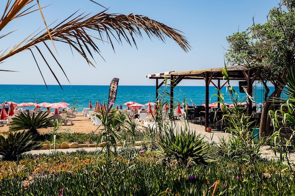 Bar de plage