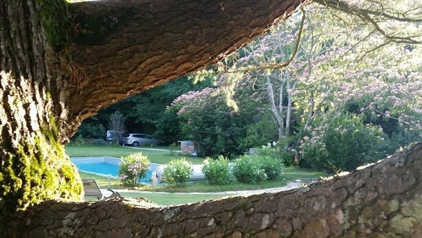 A stone archway framing a view of a backyard with a swimming pool, surrounded by lush greenery and trees.