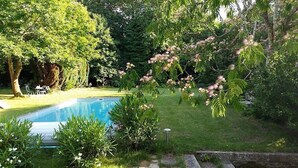 A swimming pool surrounded by lush greenery and a tree with pink blossoms.