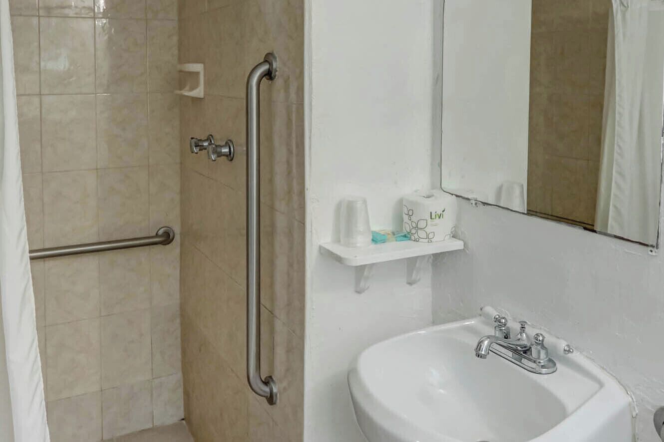 Un baño con ducha, barra de apoyo, lavabo y espejo.