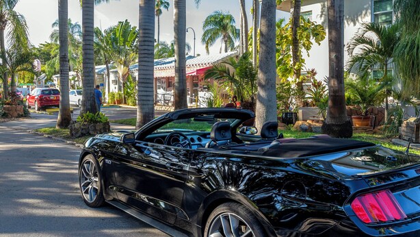 A black convertible car parked on a street lined with palm trees and a hotel in the background. - Richard's Motel (Hollywood)