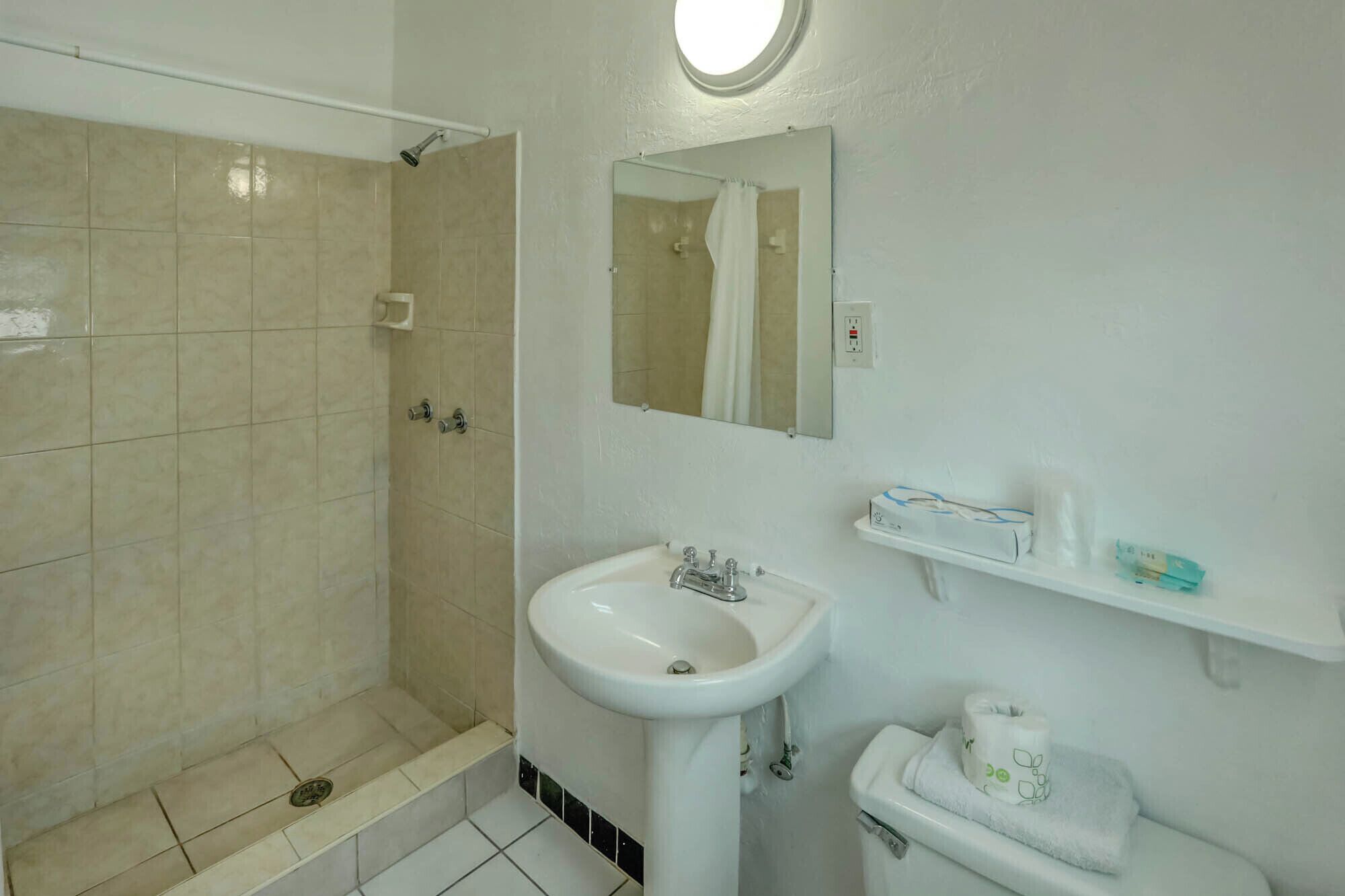 A bathroom with a shower, sink, mirror, and toilet.