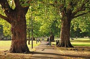 Un parc avec de grands arbres, un chemin pavé et des gens qui se promènent.