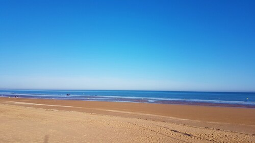 Cocooning bubble and immersive veranda in a green setting 100m from the beach