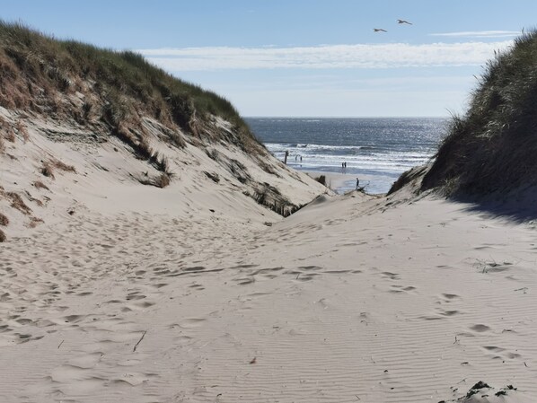 Beach - Meersicht-huisje - mit Direktem Blick auf das Wattenmeer/ Deich (Westerland)