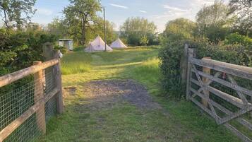 Cabin | Property grounds