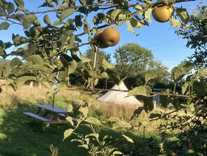 Cabin | Property grounds - Glamping at The Homestead - Ensuite Bell Tent (Hereford)