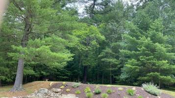 Terrain de l’hébergement