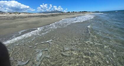Maison Poggiole - Maison avec jardin - 500 m de la mer
