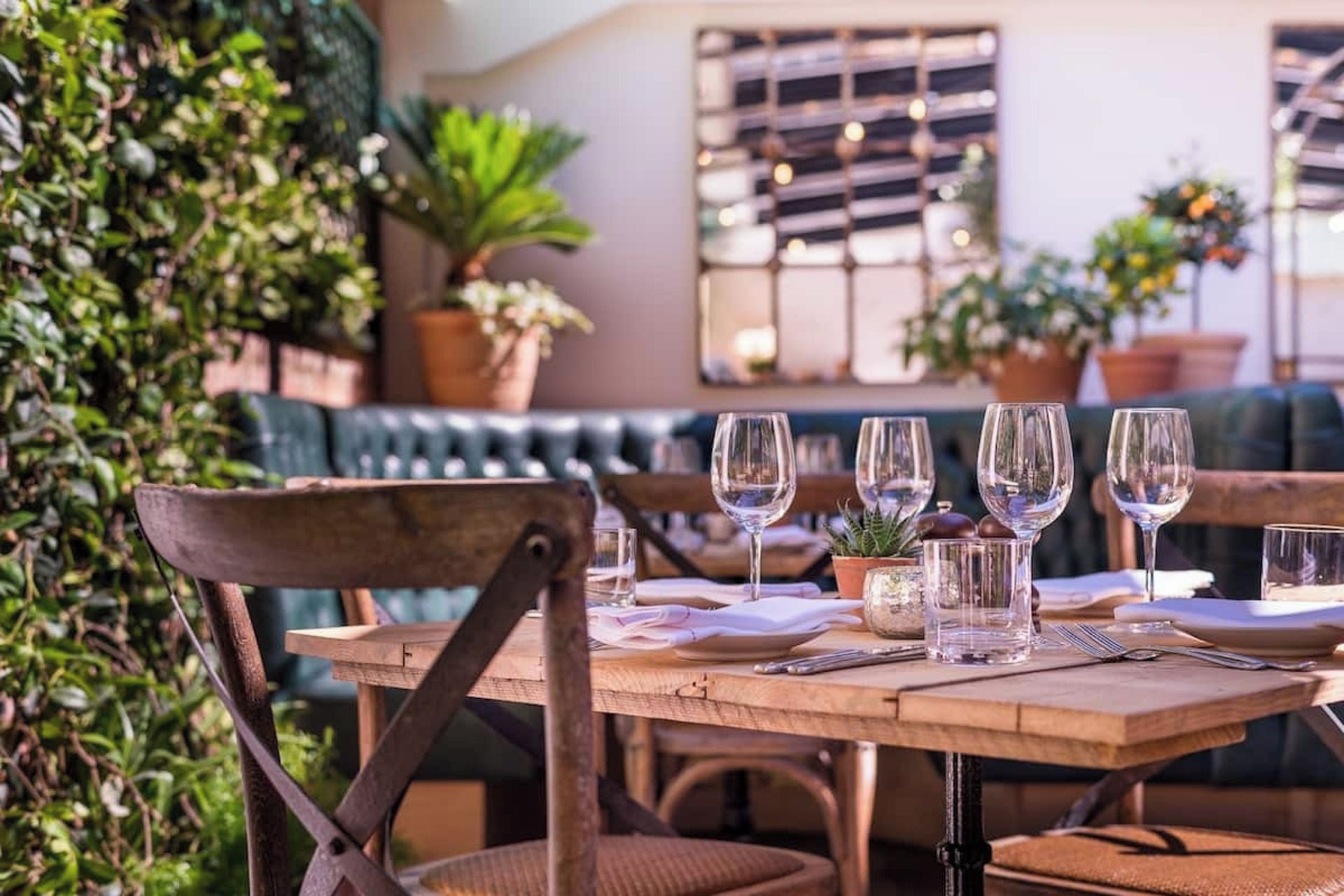A wooden table set with wine glasses, plates, and cutlery, with a green plant and a window in the background.