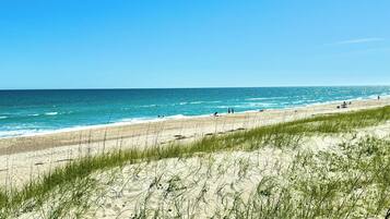 Playa en los alrededores y camastros
