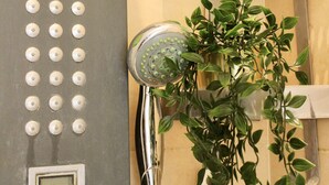 A shower area with a control panel, a potted plant, and a hand shower head. - DUPLEX Impressionnistes Barbizon Rive Gauche (Barbizon)