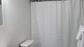 Combined shower/tub, hair dryer, towels, soap