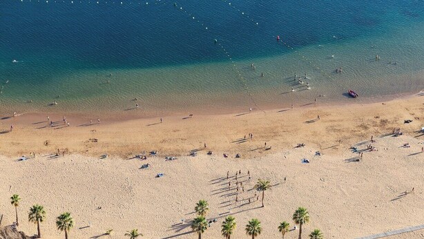 An aerial view of a beach with clear blue water, sandy shore, and palm trees.