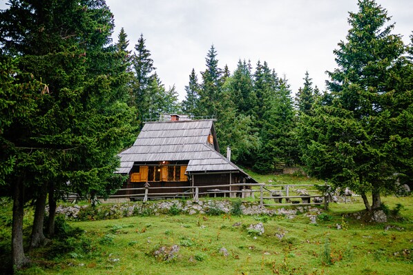 Exterior - chalet Pinja - Velika planina (Kamnik)