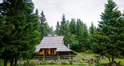chalet Pinja - Velika planina
