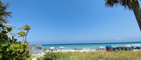 On the beach