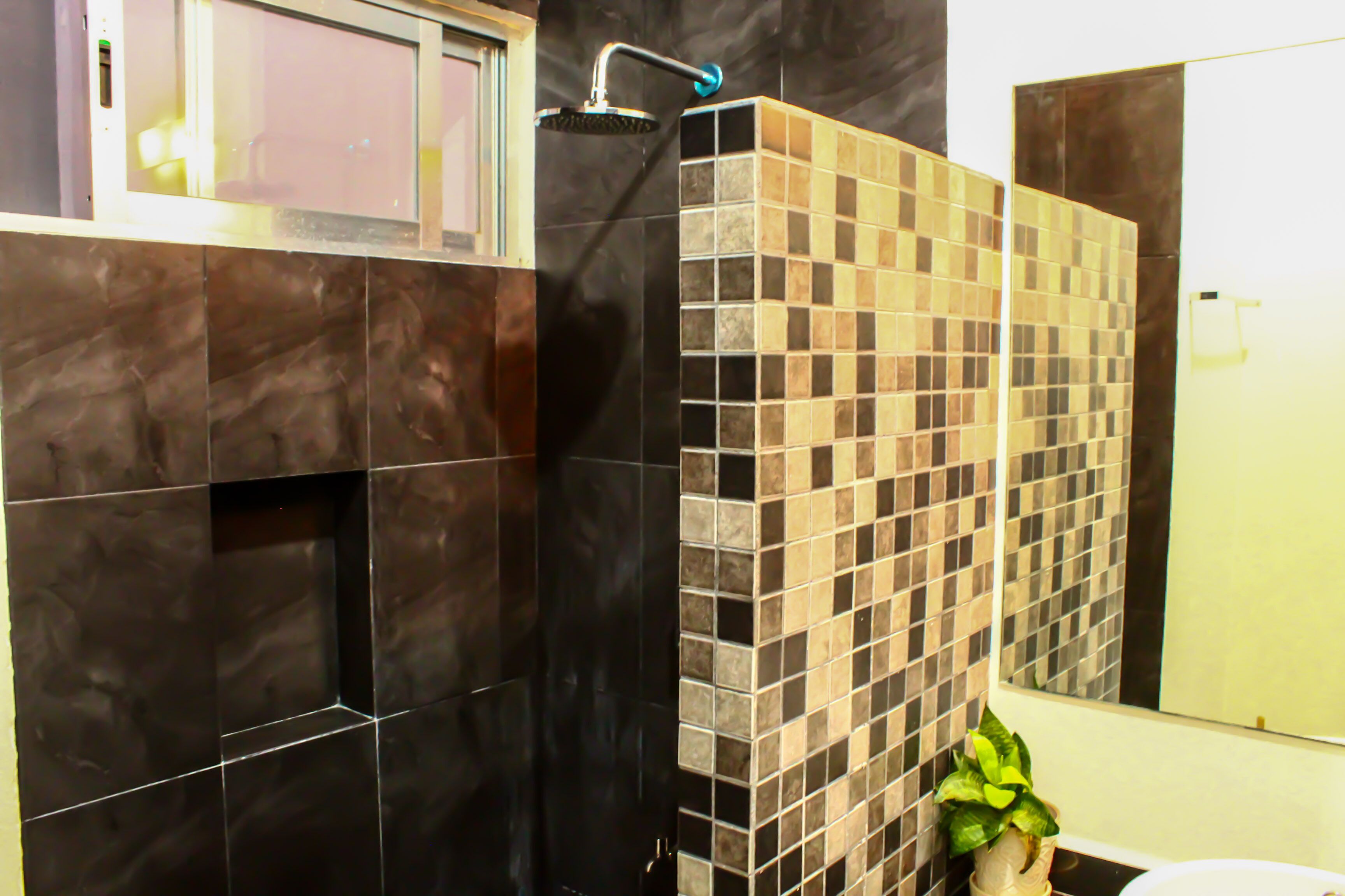 Casa estándar | Baño | Regadera 