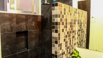 Casa estándar | Baño | Regadera