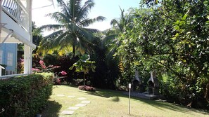Un jardin luxuriant, avec des palmiers, un sentier et un petit étang.