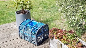 Una terraza de madera con un objeto cubierto en malla azul y blanca, una planta en maceta y una jardinera de madera con suculentas.