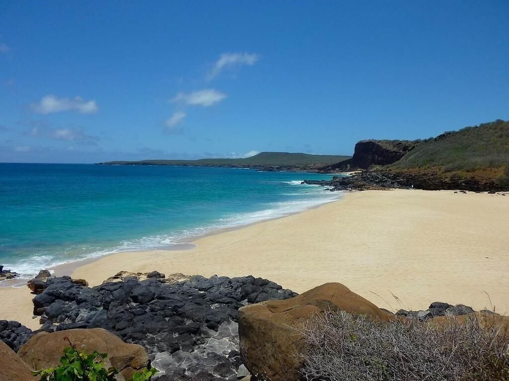 Beach nearby, beach towels