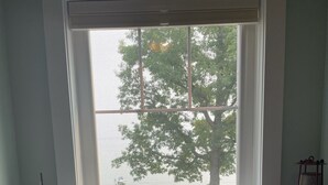 A window with a view of a tree and a distant boat.