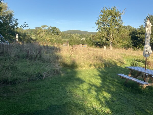 Cabin | Property grounds