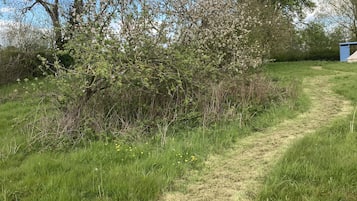 Cabin | Property grounds