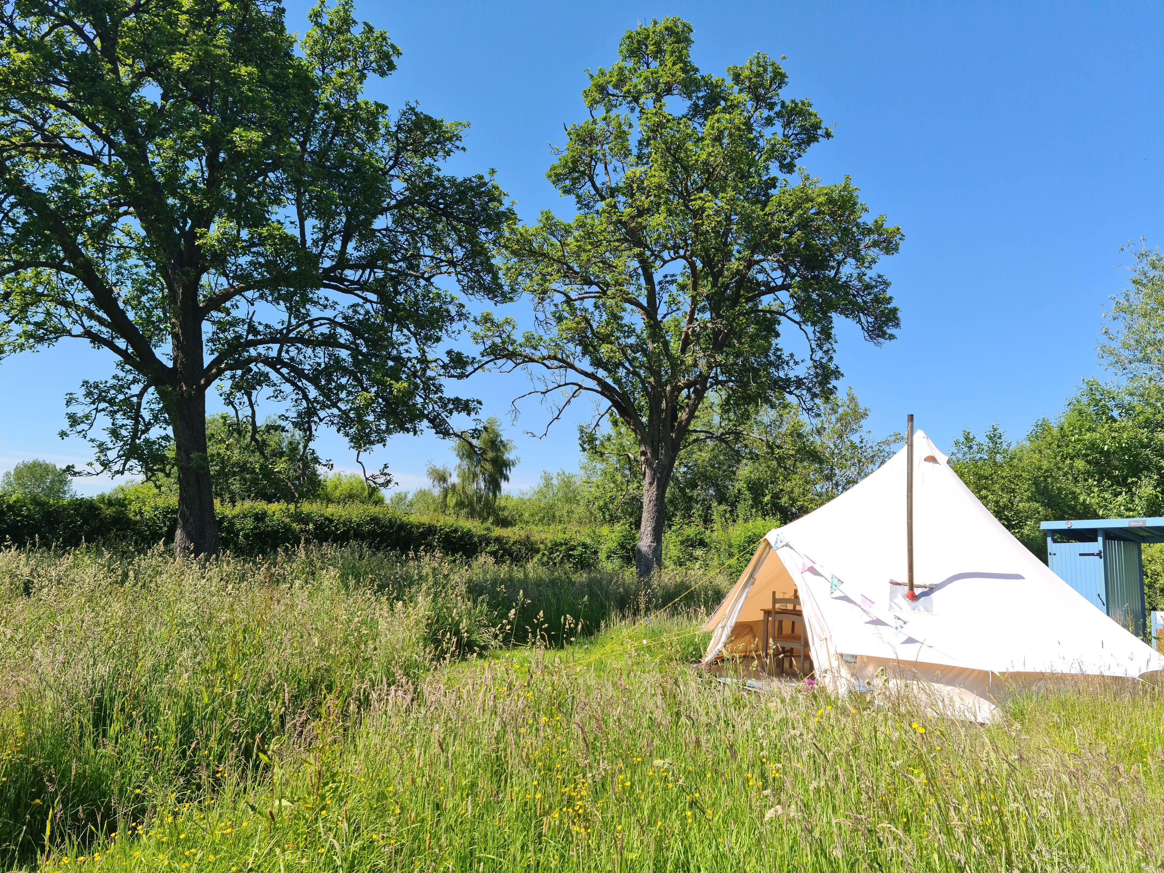 Kabin | Halaman properti