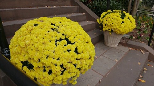 Stay in Prime Dupont Circle Location!