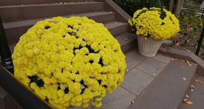 Stay in Prime Dupont Circle Location!