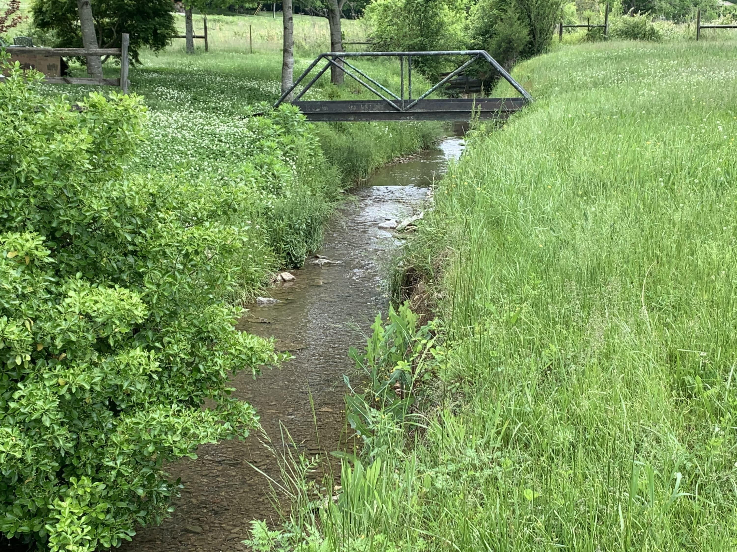 A narrow stream flowing under a metal bridge in a grassy area.