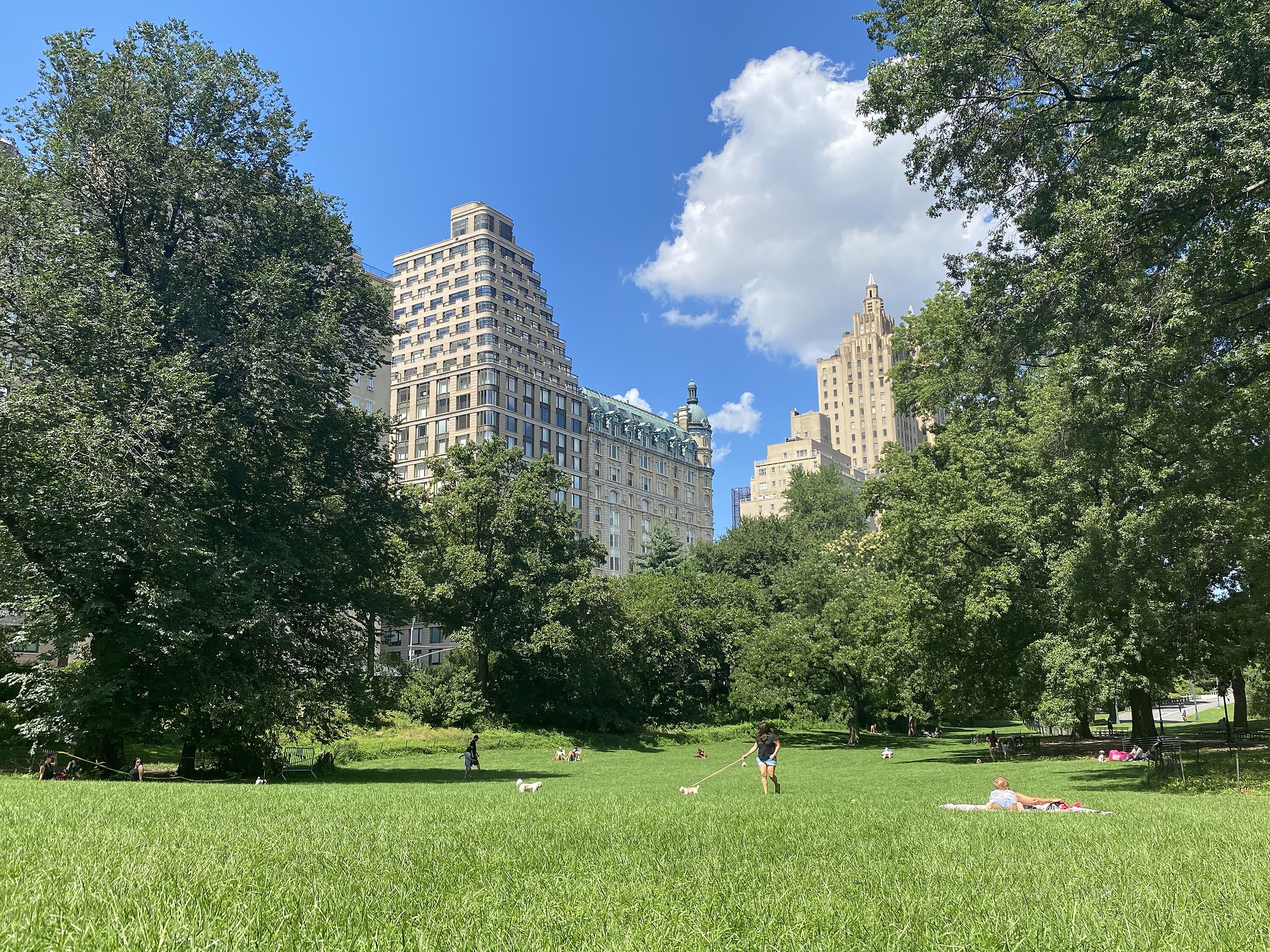 Foto - Nap York Central Park Sleep Station
