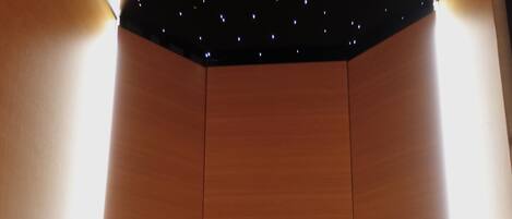 A room with a starry ceiling, wooden paneling, a bed, and a control panel.