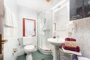 Chuveiro, secador de cabelo, toalhas de banho 