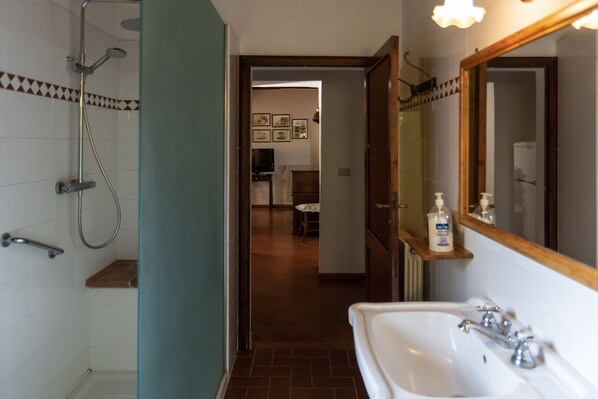 A bathroom with a shower, sink, and mirror.
