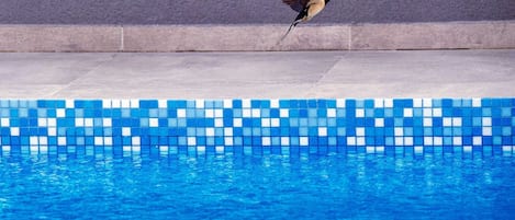 Piscine chauffée