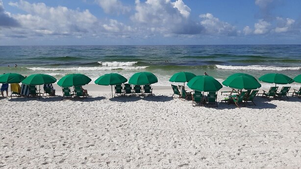 Une plage bordée de rangées de parasols verts et de chaises de plage, toutes orientées vers l’océan.