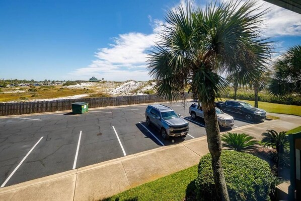 A parking lot with three cars, a palm tree, and a building in the background.