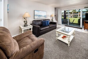 電視、DVD 播放機