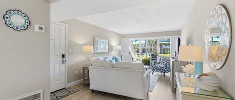 电视、DVD 播放器