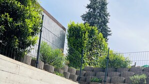 A balcony with a metal chair, a potted plant, and a concrete wall.