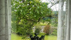 A window with a potted plant and a view of a garden.
