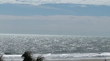Vlak bij het strand