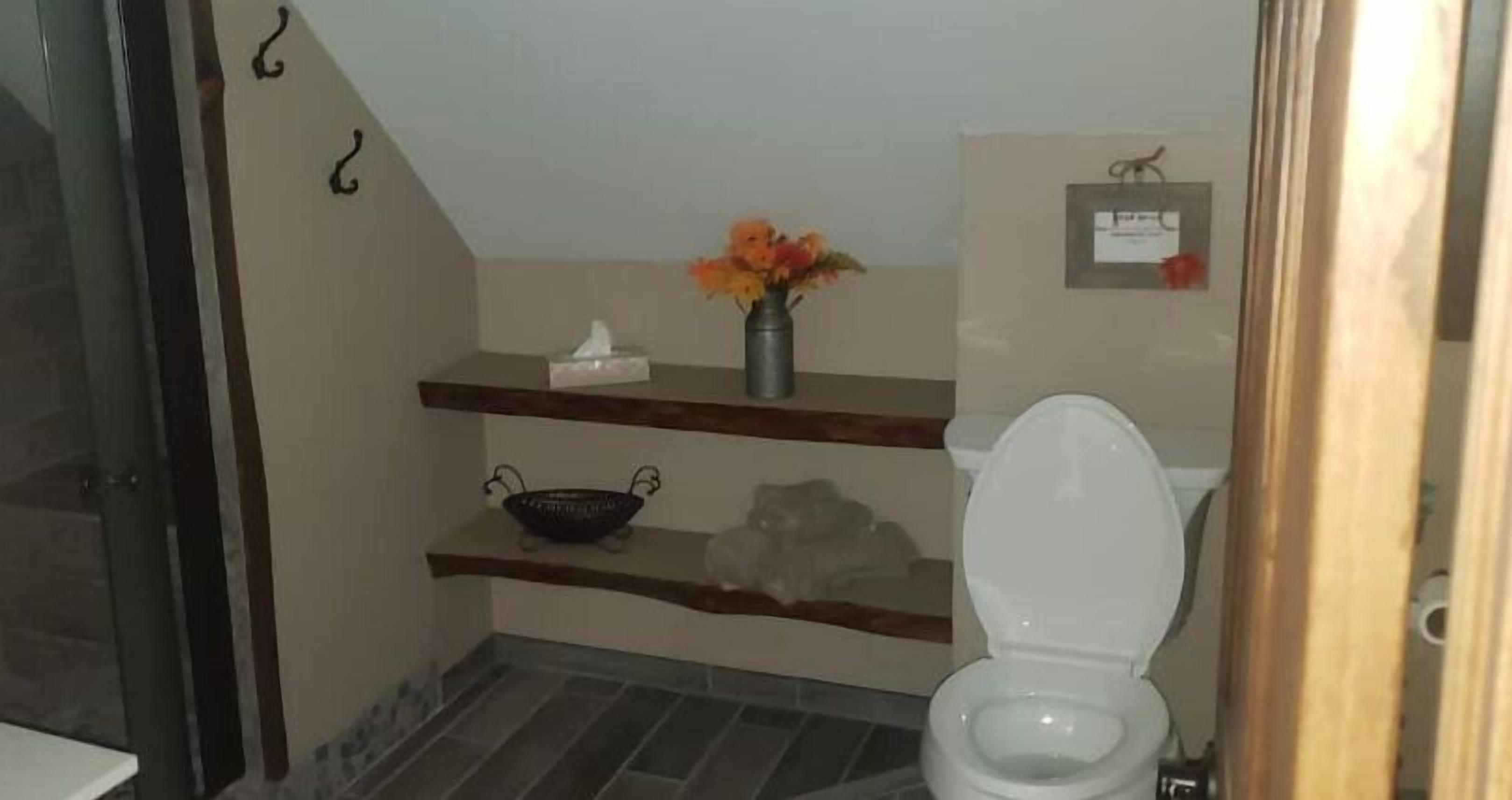 Combined shower/tub, hair dryer, towels, soap