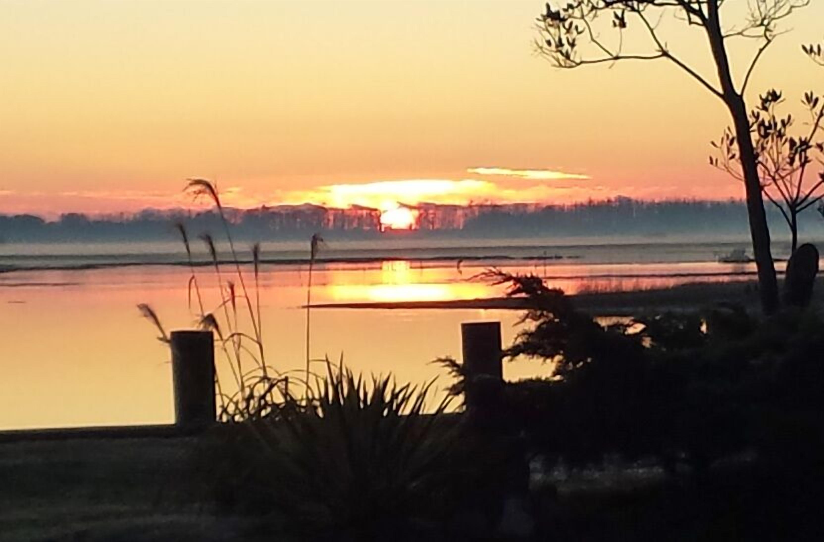 A sunset over a calm body of water with a tree in the foreground.