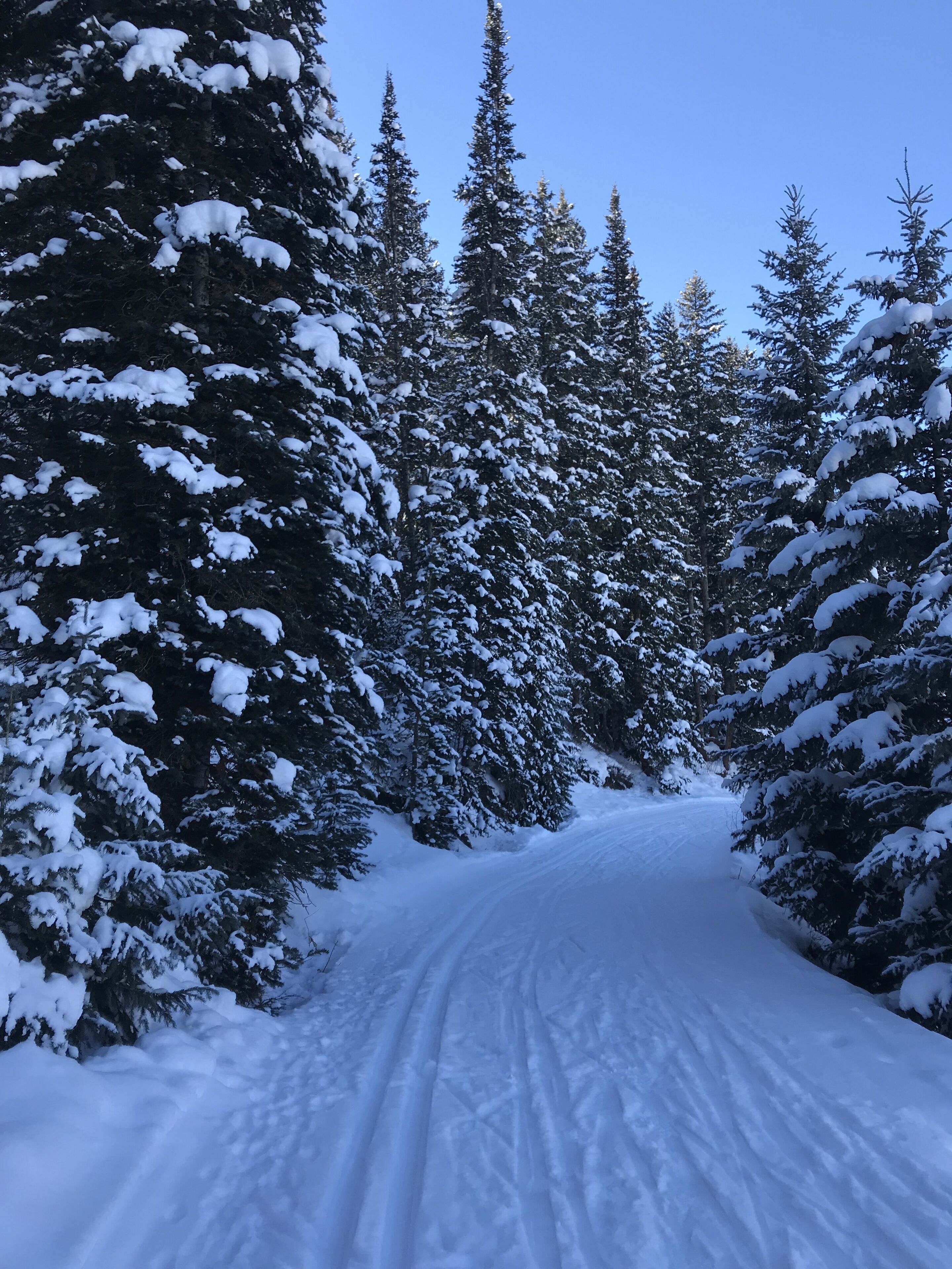 X Country Bliss