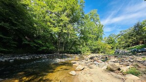 A clear river with rocks and trees.